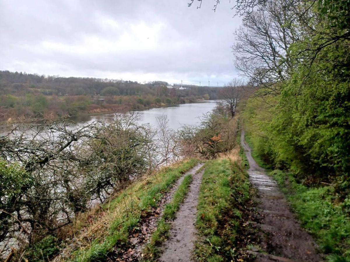 Unique Countryside Cottage Close To Sunderland هوتن لي سبرينغ المظهر الخارجي الصورة